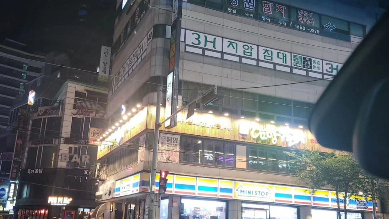 개를 위한 하루