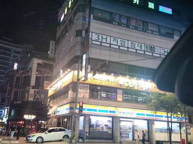 개를 위한 하루