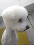 가좌동물병원