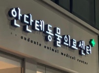 안단테동물의료센터