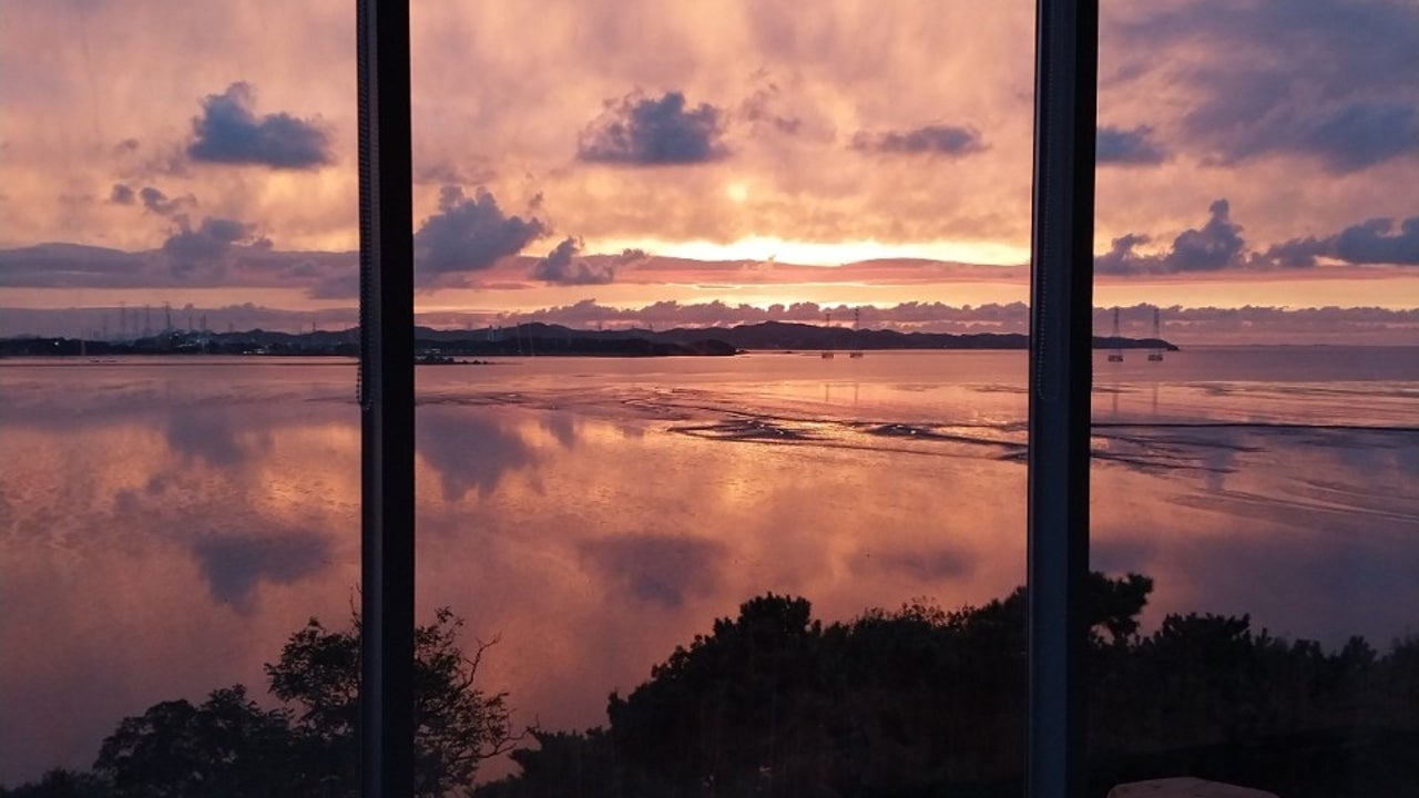 빛향