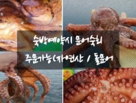 휴펜션민박