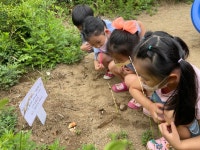 자연생태숲유치원