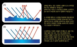 베스트카케어