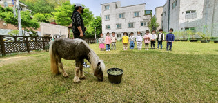 키즈아일랜드어린이집