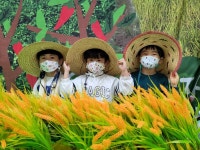 꼬마또래어린이집