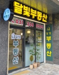 달빛공인중개사사무소