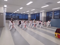 경희대기품태권도