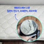 비치움