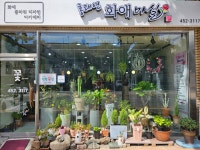 애마실 | 홍태연화애마실