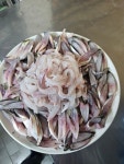 섬마을장어구이 횟집 & 펜션