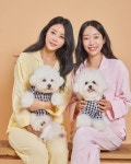 부산애견호텔 강아지유치원 맘바이 서면본점