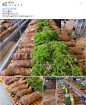 능주 정보화마을