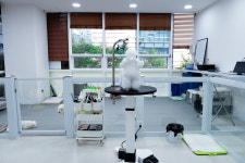 폴인럽 애견&고양이 미용 돌봄&호텔