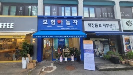 보험아놀자 대림동썬프라자점