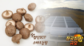 농업회사법인 도담