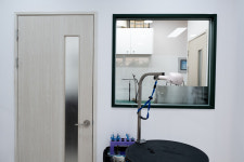 폴인럽 애견&고양이 미용 돌봄&호텔