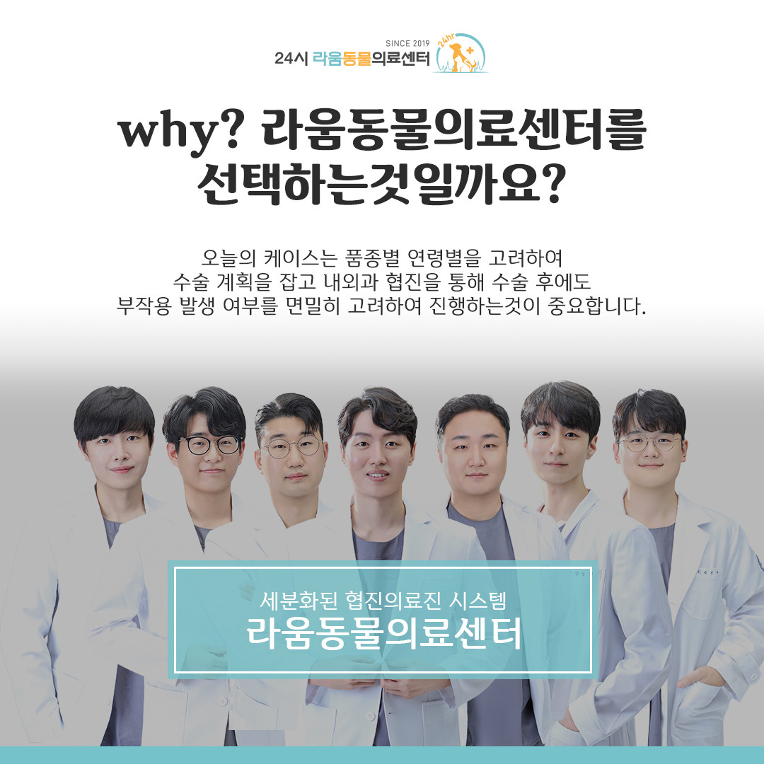 라움동물의료센터
