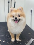 와와살롱