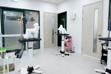 폴인럽 애견&고양이 미용 돌봄&호텔