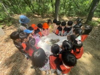 시지아이숲유치원