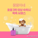 뭉뭉이네 애견유치원&호텔 놀이터