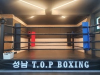 성남탑복싱