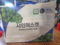 근우샤인머스켓농장