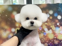 꼬맹이네멍발소