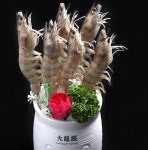 따롱이훠궈 강남점