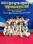 용인대청무태권도