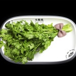 따롱이훠궈 강남점