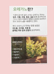 풋43 하단점