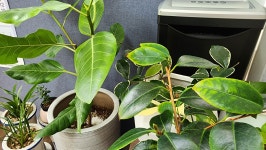 자타공인중개사사무소