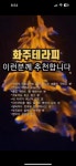 도도한여우