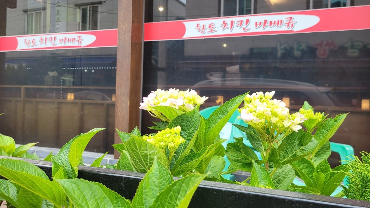 황토장군치킨바베큐