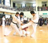 박사경희대태권도체육관