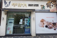 토론토동물병원