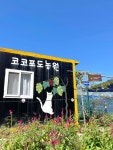 코코포도농원