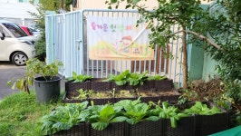 수안유치원