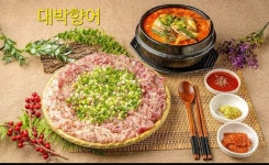 대박향어 & 향어가땡기는날