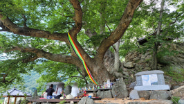 삼화사