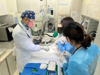 하태흥 반려동물의료센터 만수본점