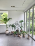 플랑드플레르