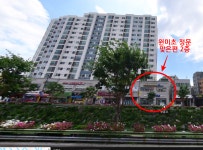 원미창조태권도