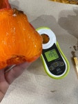 수촌농장