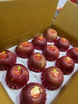 수촌농장
