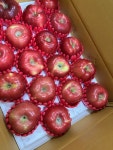 수촌농장