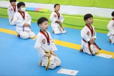 경희대신나무태권도장