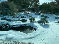노고롯1985